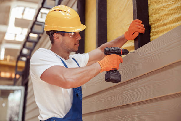 Best Siding Painting and Refinishing  in Craig Beach, OH