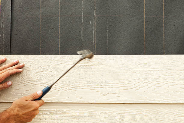 Affordable Siding Repair and Maintenance Services in Craig Beach, OH